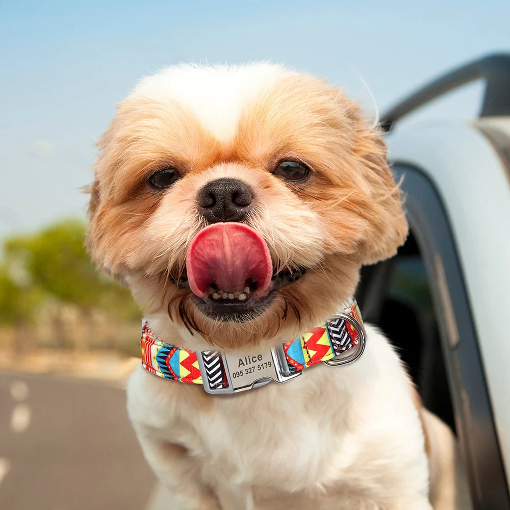 Collar de perro