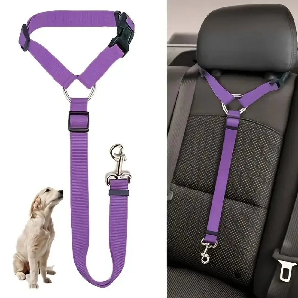 Cinturón de seguridad para perros y gatos